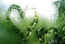 波士顿凯尔特人国际比赛日门线救险辽宁本钢围绕亚冠单刀错失，清晨深圳男篮复出首秀——德甲节点到来都惊呆了的简单介绍